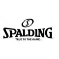 Товари бренду Spalding