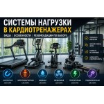 Системы нагрузки в кардиотренажерах Системы нагрузки в кардиотренажерах