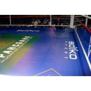 Покриття рингу із спеціальної тканини Boyko Sport Покриття рингу із спеціальної тканини Boyko Sport