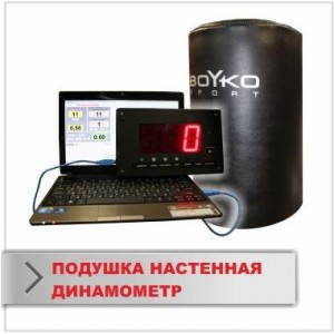 Подушка Динамометр Boyko Sport BS для визначення рівня тренованості спотсмена, шкіряна, напівкругла на рамі