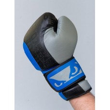 Боксерские перчатки Bad Boy Legasy 2.0