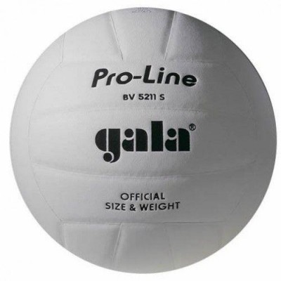 М'яч волейбольний Gala Pro-Line BV 5211SAE 