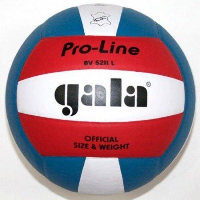 Мяч волейбольный Gala Pro-Line BV 5011SAE