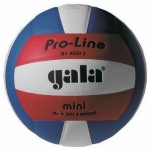 М'яч волейбольний Gala Pro-Line BV 4051SAE 