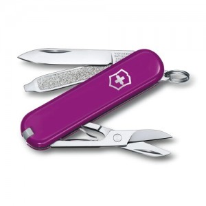 Нож Victorinox Сlassic SD "Tasty Grape" арт.0.6223.52G
