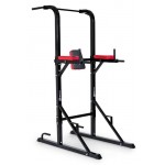 Комбинированный станок WorkOut Hop-Sport HS-1004K
