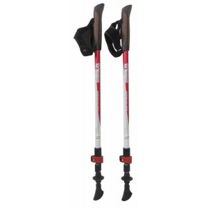 Палки для скандинавської ходьби Tramp Compact TRR-004 