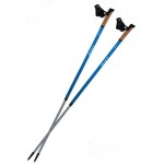 Палки для скандинавської ходьби Tramp Flash TRR-010 