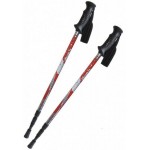 Трекінгові палиці Tramp Scout TRR-009 