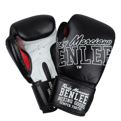 Боксерские перчатки BENLEE ROCKLAND (blk/white) 199189