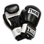 Боксерські рукавички THOR SPARRING BLK / WH 558