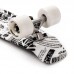 Скейтборд Пенни-борд Penny board Meteor MULTICOLOR Gazeta 23873/black/white/print