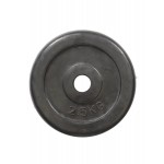 Диск HouseFit R-2,5 23037