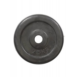 Диск HouseFit R-2,5 23037