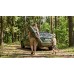 Кресло складное Ranger Rshore Green RA2203 туристическое