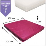 Мат BS - Спортивний в чохлі з вінілісшкірі, червоний, хімічно зшитого (сірий), 100х100х2см "