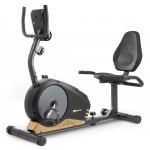 Горизонтальный велотренажер Hop-Sport HS-040L Root black/gold/grey