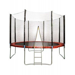 Батут с сеткой и лестницей HouseFit HSF 10FT d=300 см арт.19881
