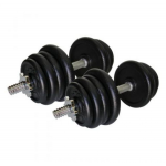 Гантелі набірні NEWT Home 2 шт по 27,5 кг