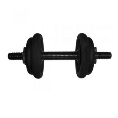 Гантель наборная стальная Newt 6,5 кг NE-300-GP007