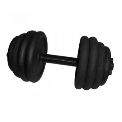 Гантель наборная стальная Newt 18,5 кг NE-300-GP019