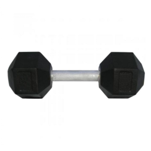 Гантель цельная Newt profi 10 кг