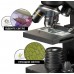 Микроскоп National Geographic 40x-1280x с адаптером к смартфону (9039001)
