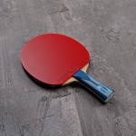 Ракетка для настольного тенниса профессиональная Butterfly TB ALC Dignics