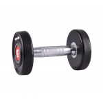 Гантель профессиональная inSPORTline Profi 10 kg
