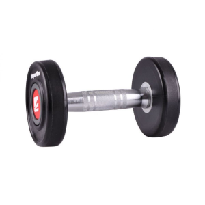 Гантель профессиональная inSPORTline Profi 14 kg