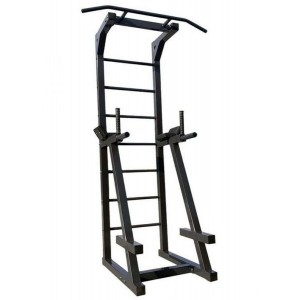 Комбинированный станок с лестницей Newt NE-GH-019