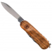 Нож Victorinox Delemont "EvoWood 10" арт.2.3801.63