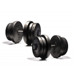 Гантели наборные Elitum 2 х 21 кг