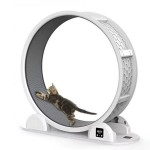 Беговое колесо для котов CutePet R04  XL с одометром  для средних и крупных пород кошек