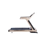 Беговая дорожка inSPORTline Gardian G12