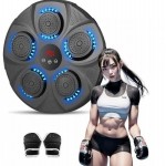 Електрична боксерська мішень з рукавичками EnergyFIT EF22