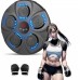 Электрическая боксёрская мишень с перчатками EnergyFIT EF22