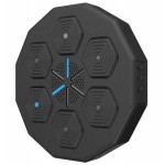 Електрична боксерська мішень з рукавичками EnergyFIT EF13