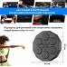 Электрическая боксёрская мишень с перчатками EnergyFIT EF13