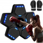 Електрична боксерська мішень з рукавичками EnergyFIT EF21