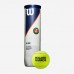 М’ячі для великого тенісу Wilson Roland Garros All Court 4ball