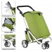 Сумка-тележка ShoppingCruiser 3 Wheels Green (650071)