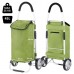 Сумка-візок ShoppingCruiser Foldable Green (650068)