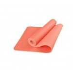 Коврик для фитнеса (йога-мат) с чехлом Newt TPE Eco 6 мм NE-5-80-18-R