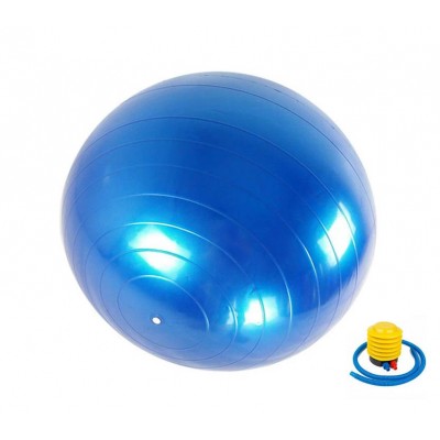 Мяч для фитнеса (фитбол) 65 см Newt HMS синий 487-626-1-B