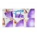 Мяч для фитнеса (фитбол) 65 см Newt HMS серый 487-626-1-G