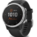 Спортивные часы Garmin Fenix 6S Solar 010-02409-00