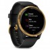 Спортивные часы Garmin VENU Black Gold 010-02173-33