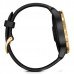 Спортивные часы Garmin VENU Black Gold 010-02173-33