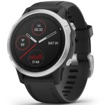 Спортивные часы Garmin Fenix 6S Silver with Black Band 010-02159-01